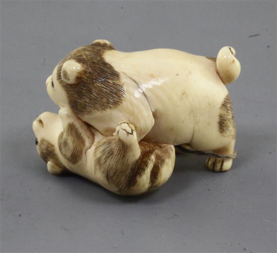 A Japanese ivory netsuke of two puppies, 19th century, l. 3.6cm